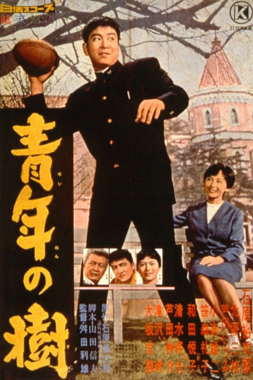 The Day of Youth Poster