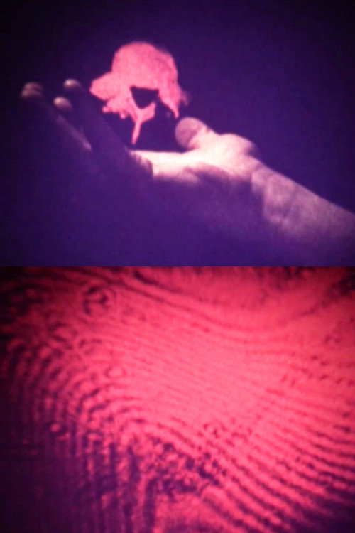 Visual Alchemy Poster