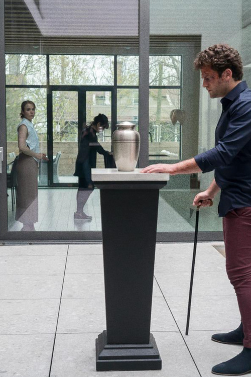 L'éveil du singe Poster