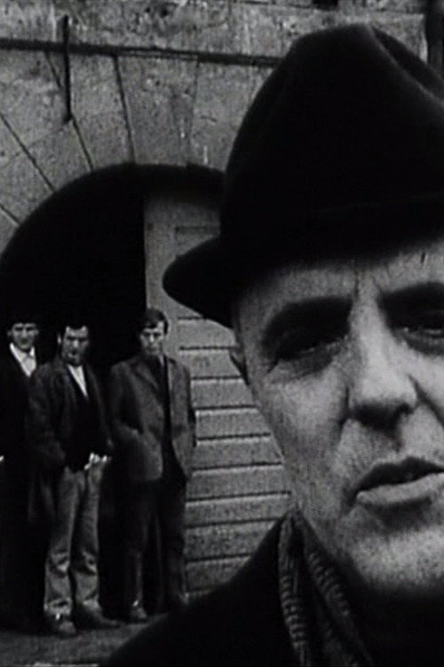 Sugar Factory Poster