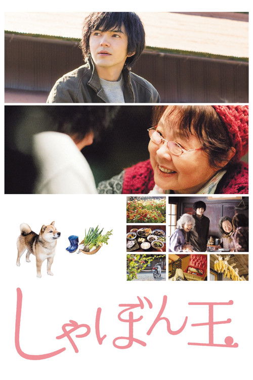 Where I Belong Poster