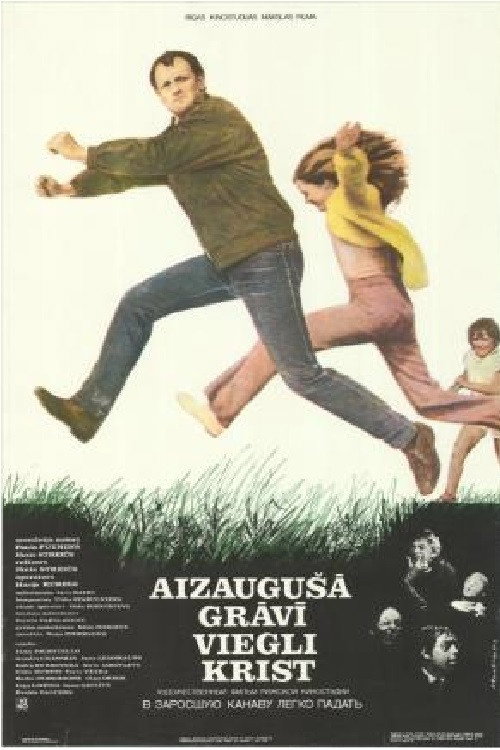 It's Easy to Fall Into an Overgrown Ditch Poster