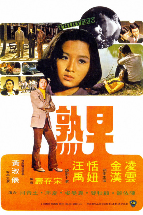 Thirteen Poster