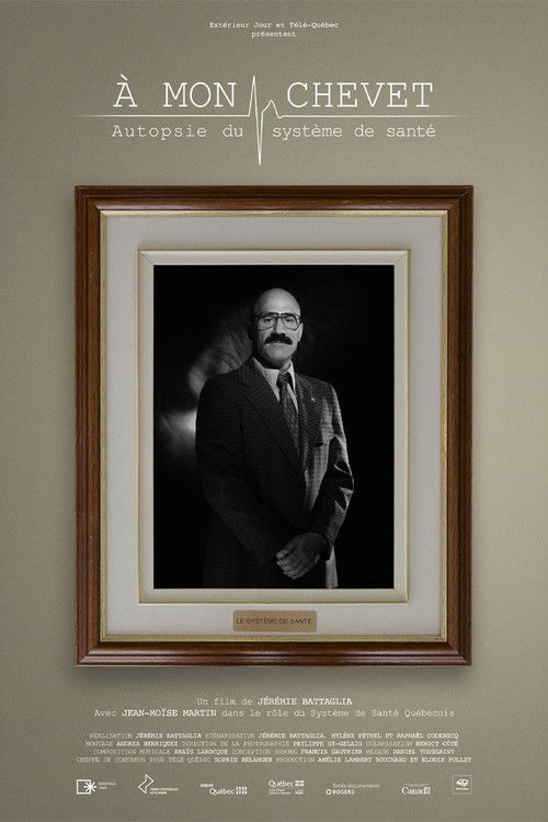 At my bedside: an autopsy of the healthcare system Poster