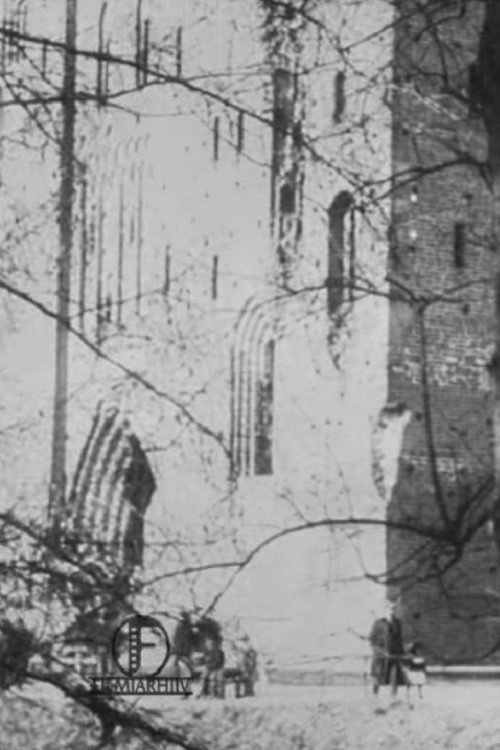 Historical Remembrances of Estonia's Past Poster