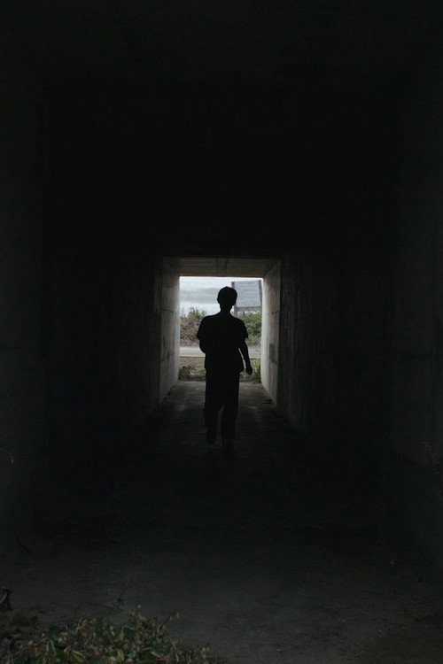 にびさびの巣 Poster