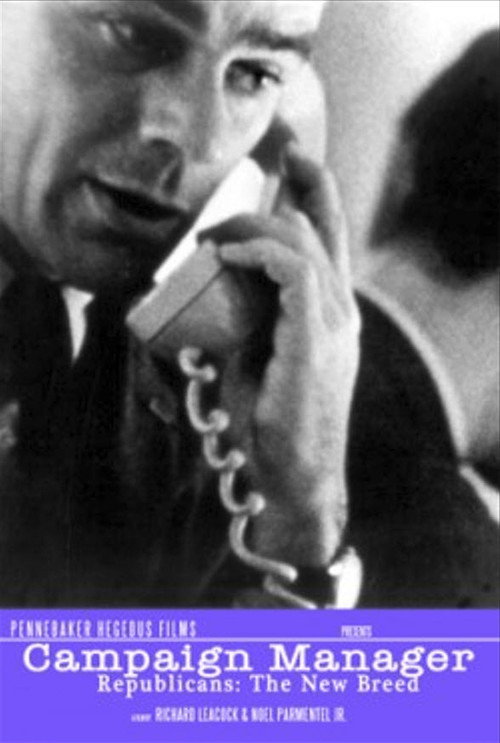 Campaign Manager Poster