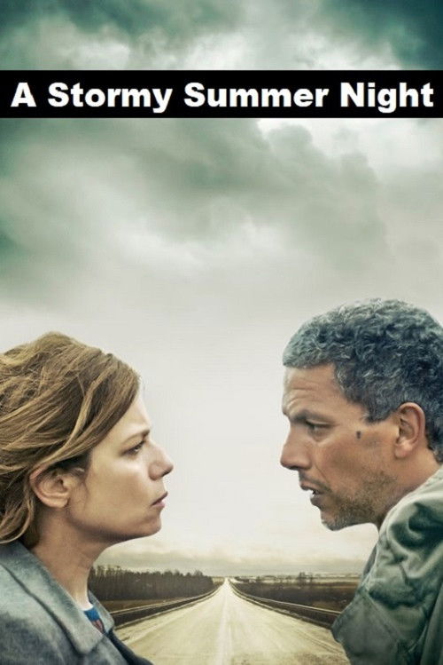 A Stormy Summer Night Poster