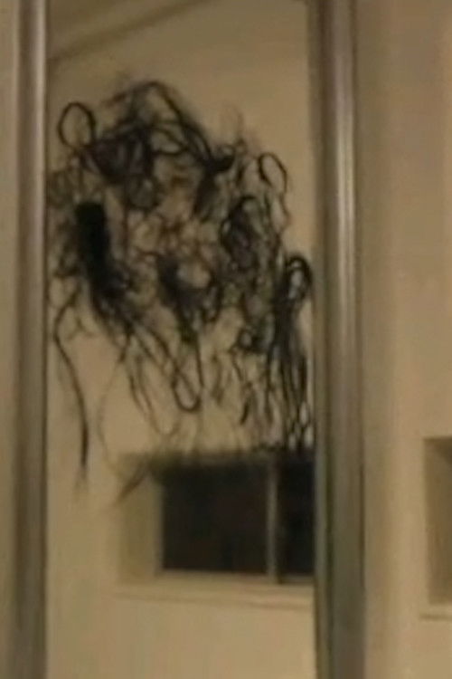 Anna Ishibashi: The Missing Actress Poster