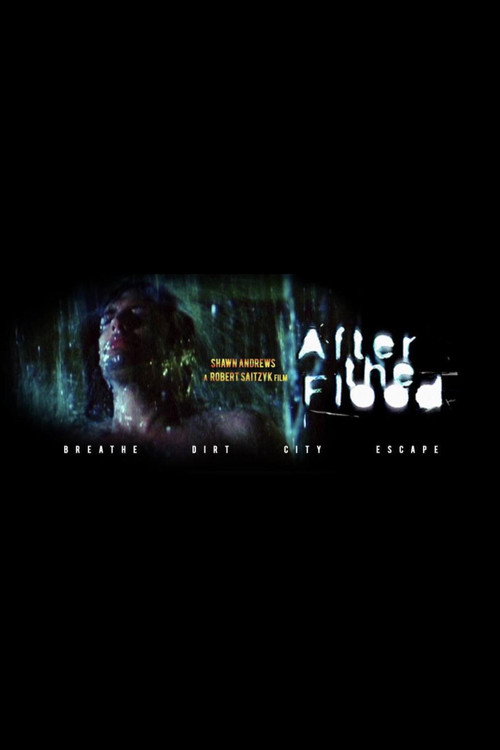 After the Flood Poster