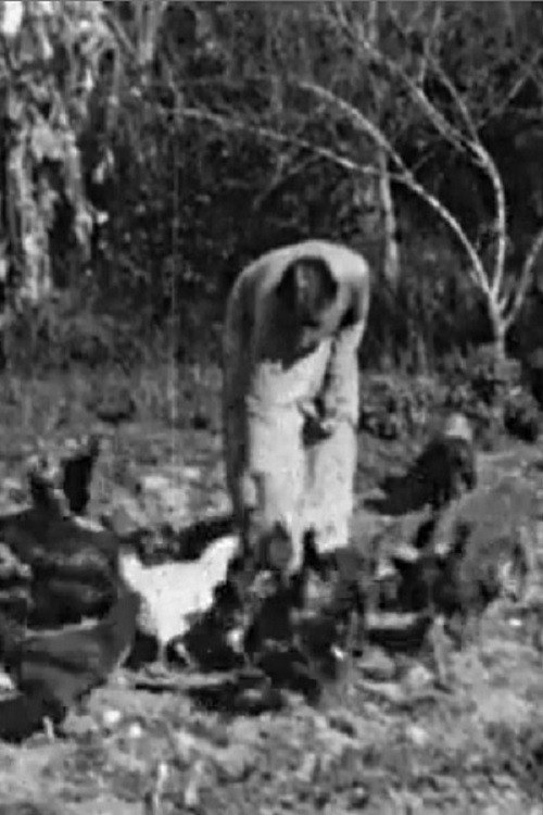 Fuentes Family Ranch Poster