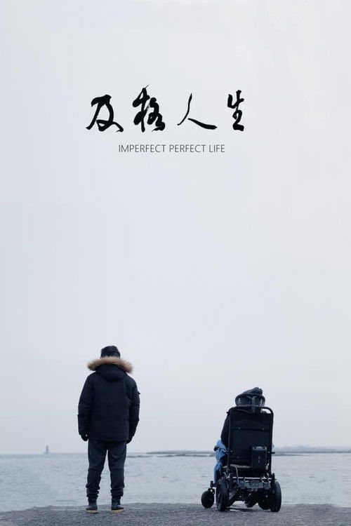 Imperfect Perfect Life Poster
