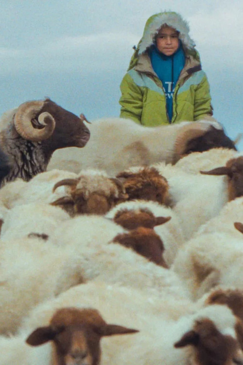 The Price of the Sun Poster