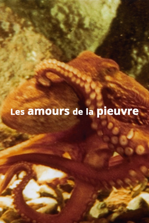 The Love Life of an Octopus Poster