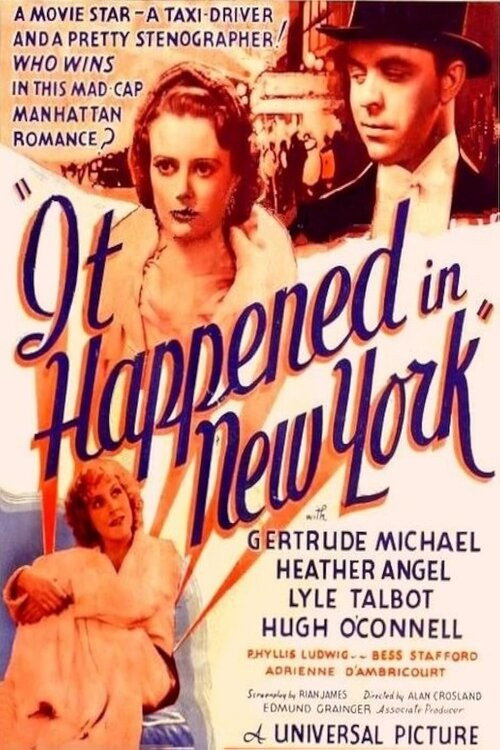 It Happened in New York Poster