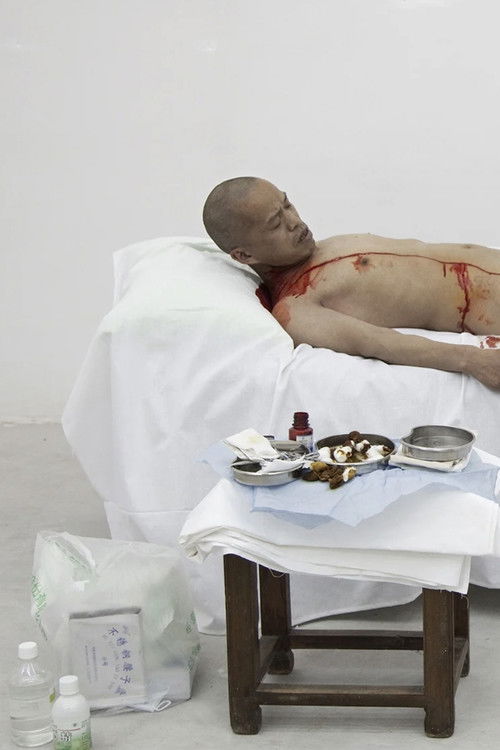 One Meter Democracy Poster