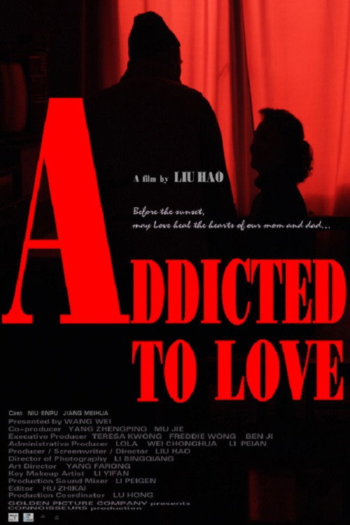 Addicted to Love Poster