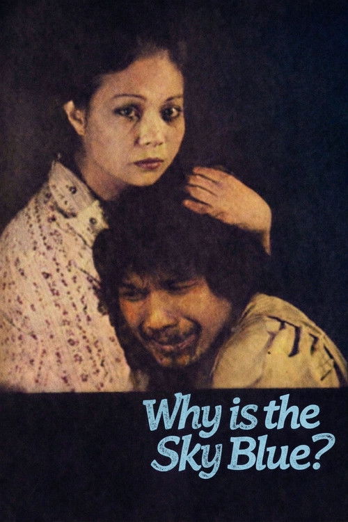 Why Is the Sky Blue? Poster