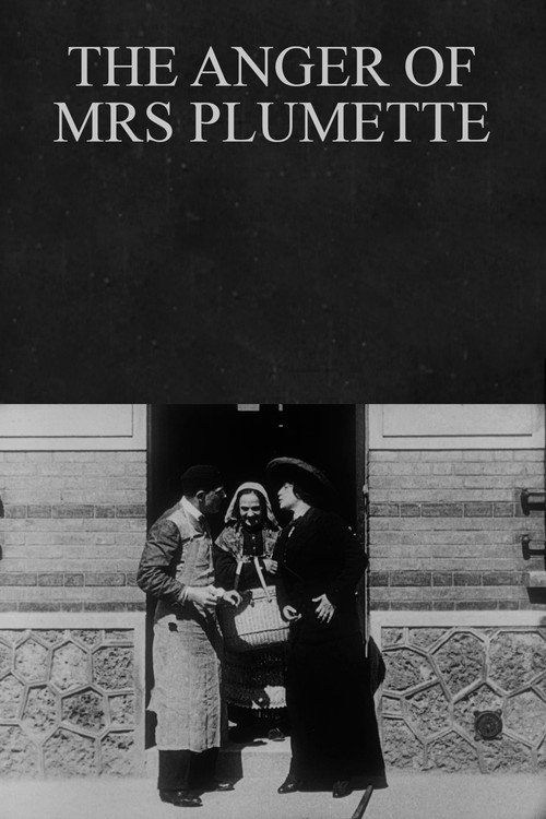 The Anger of Mrs Plumette Poster