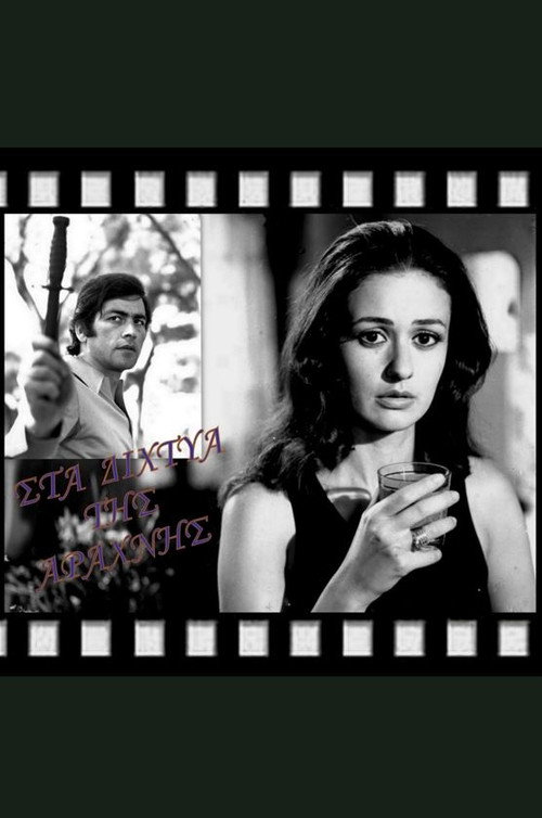 In the Spider's Web Poster