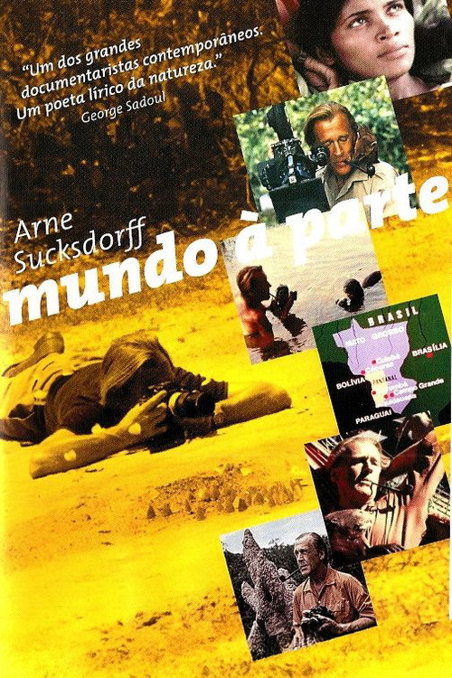 A World Apart Poster