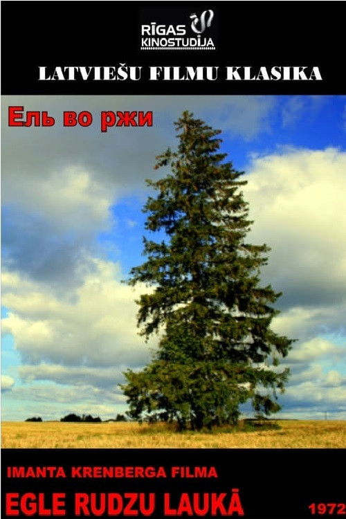 Egle rudzu laukā Poster