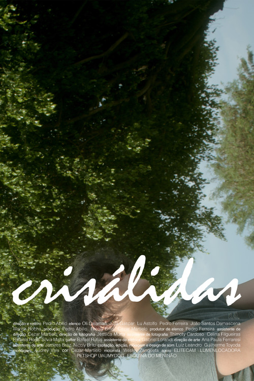 Chrysalis Poster