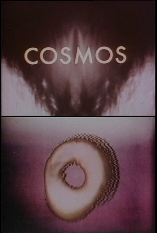 Cosmos Poster