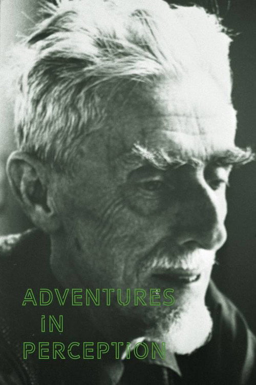 Adventures in Perception Poster