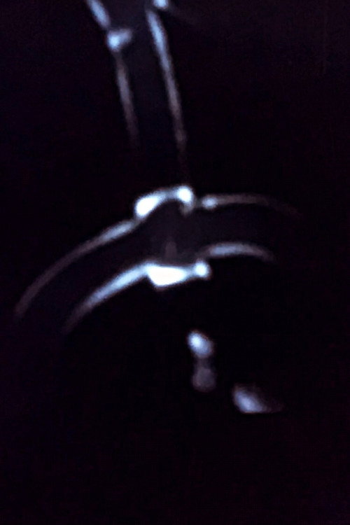 Écritures Poster