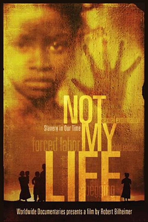 Not My Life Poster