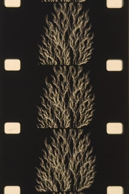 From the Family of Eggs Poster