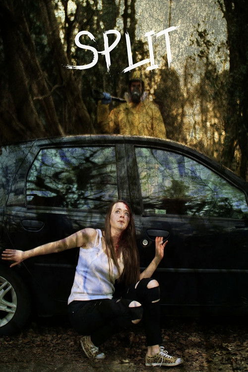 Split Poster