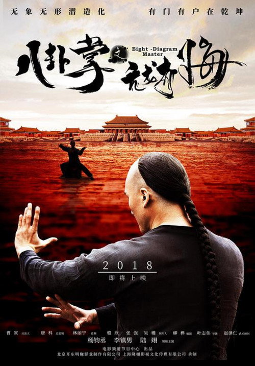 八卦掌之亢龙有悔 Poster