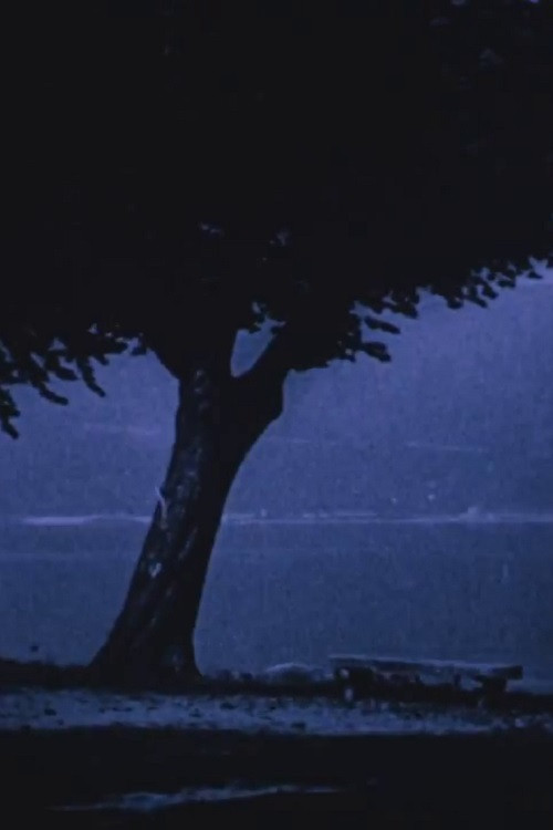 The 'Lago Maggiore' Picturesque Poster