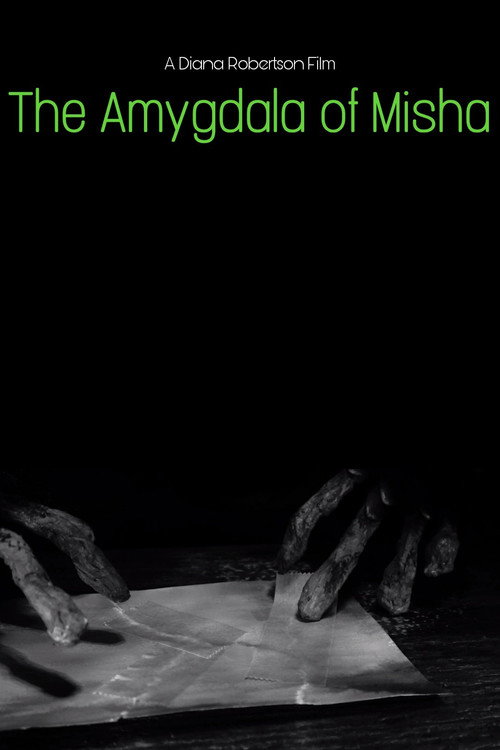 The Amygdala of Misha Poster