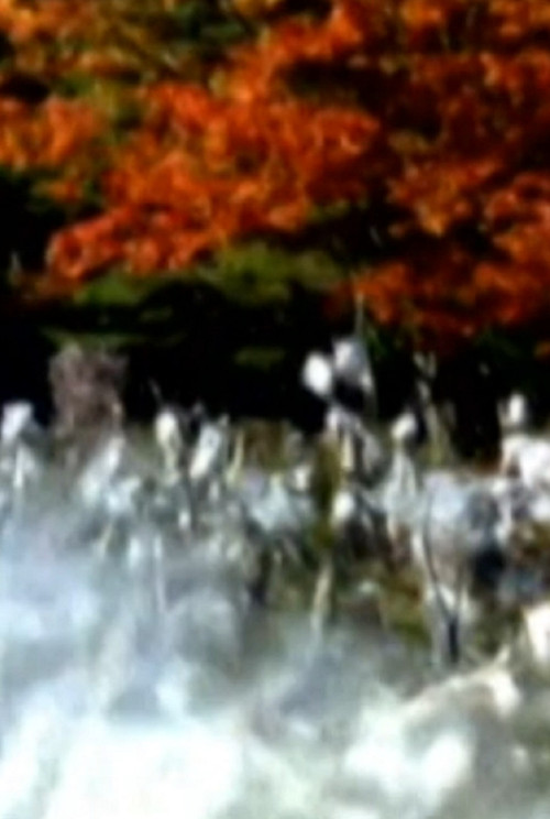 Such as It Is Poster