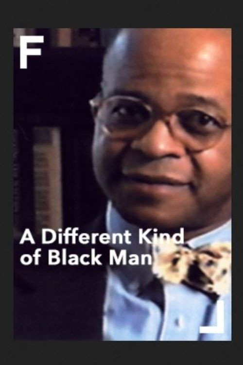 A Different Kind of Black Man Poster