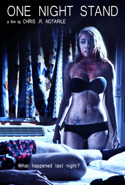 One Night Stand Poster