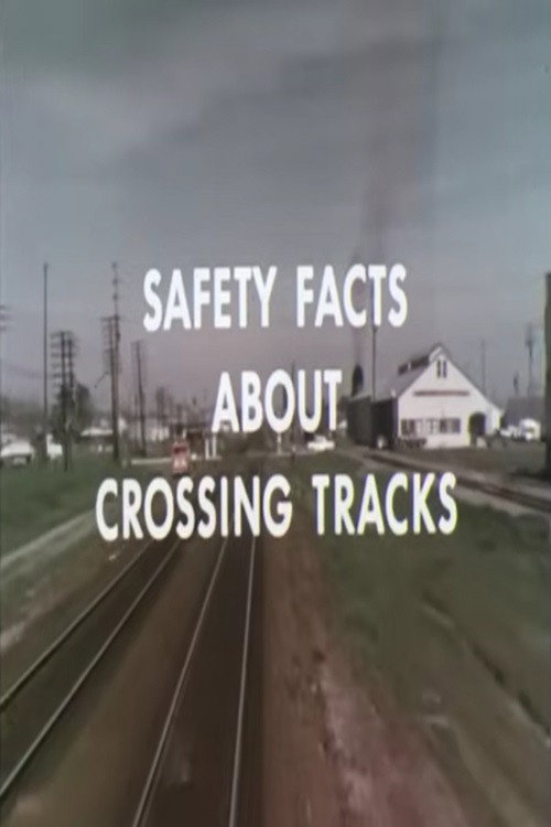 Safety Facts About Crossing Tracks Poster