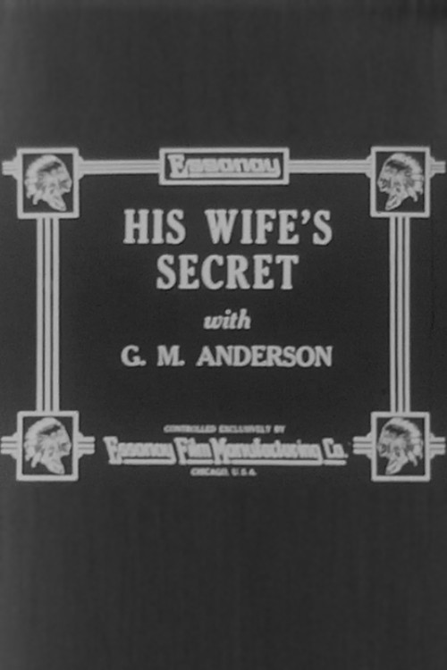 His Wife's Secret Poster