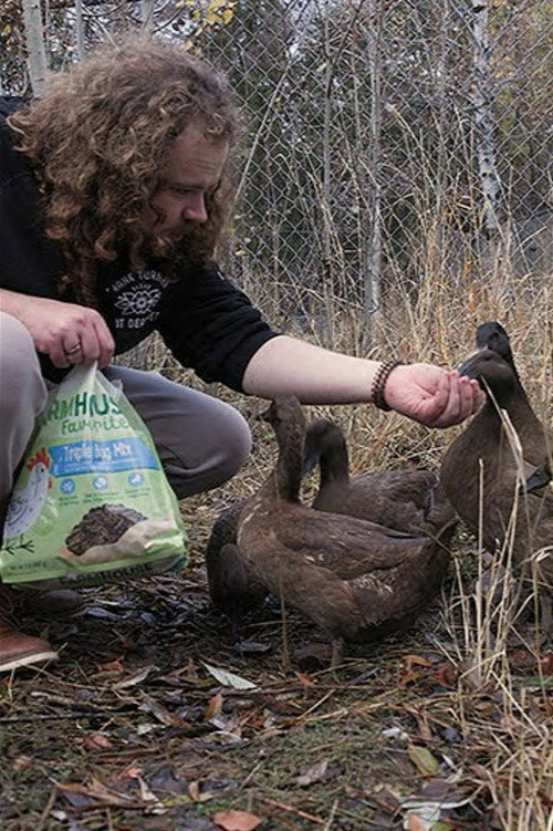 Baylin and the Ducks Poster