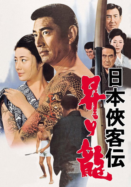 The Domain: Rising Dragon Poster