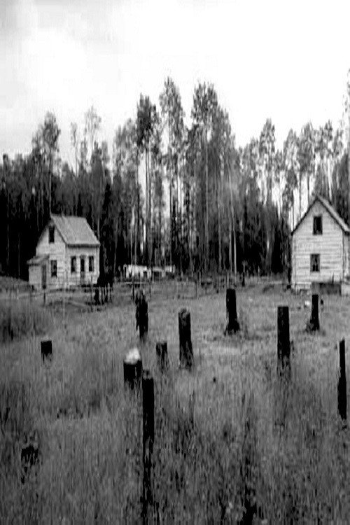 En pays neufs Poster