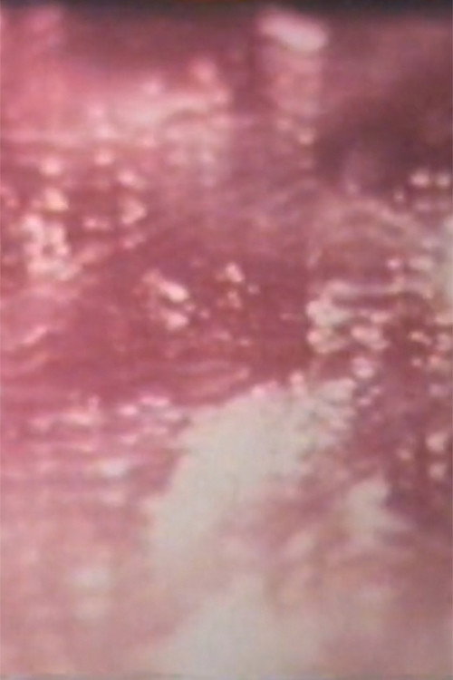 Desert in Sunlight Poster