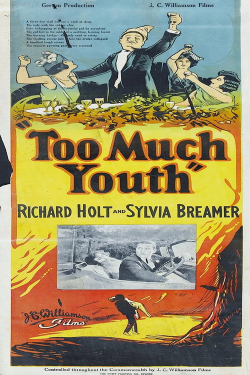 Too Much Youth Poster