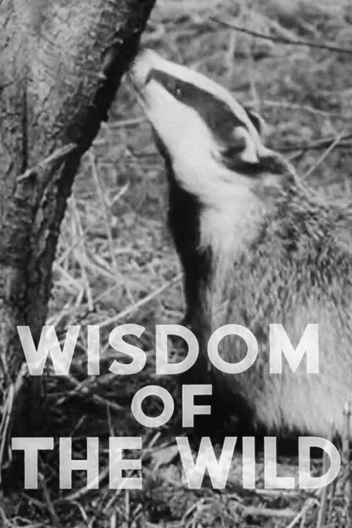 Wisdom of the Wild Poster