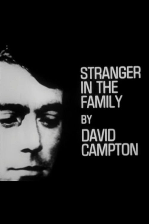 Stranger in the Family Poster