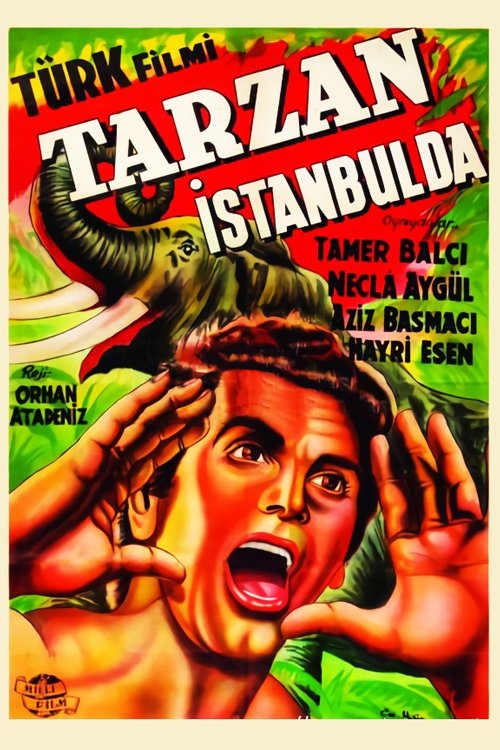 Tarzan in Istanbul Poster