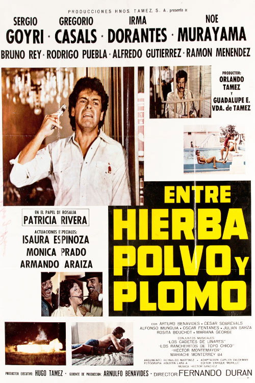 Entre Hierba, Polvo y Plomo Poster